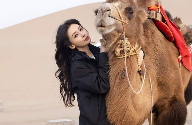 Angelababy否认恋情绯闻,承认自己目前仍是单身,专心致志搞事业