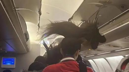 时尚界的新宠？生肖龙发型在飞机上引起轰动，你怎么看？