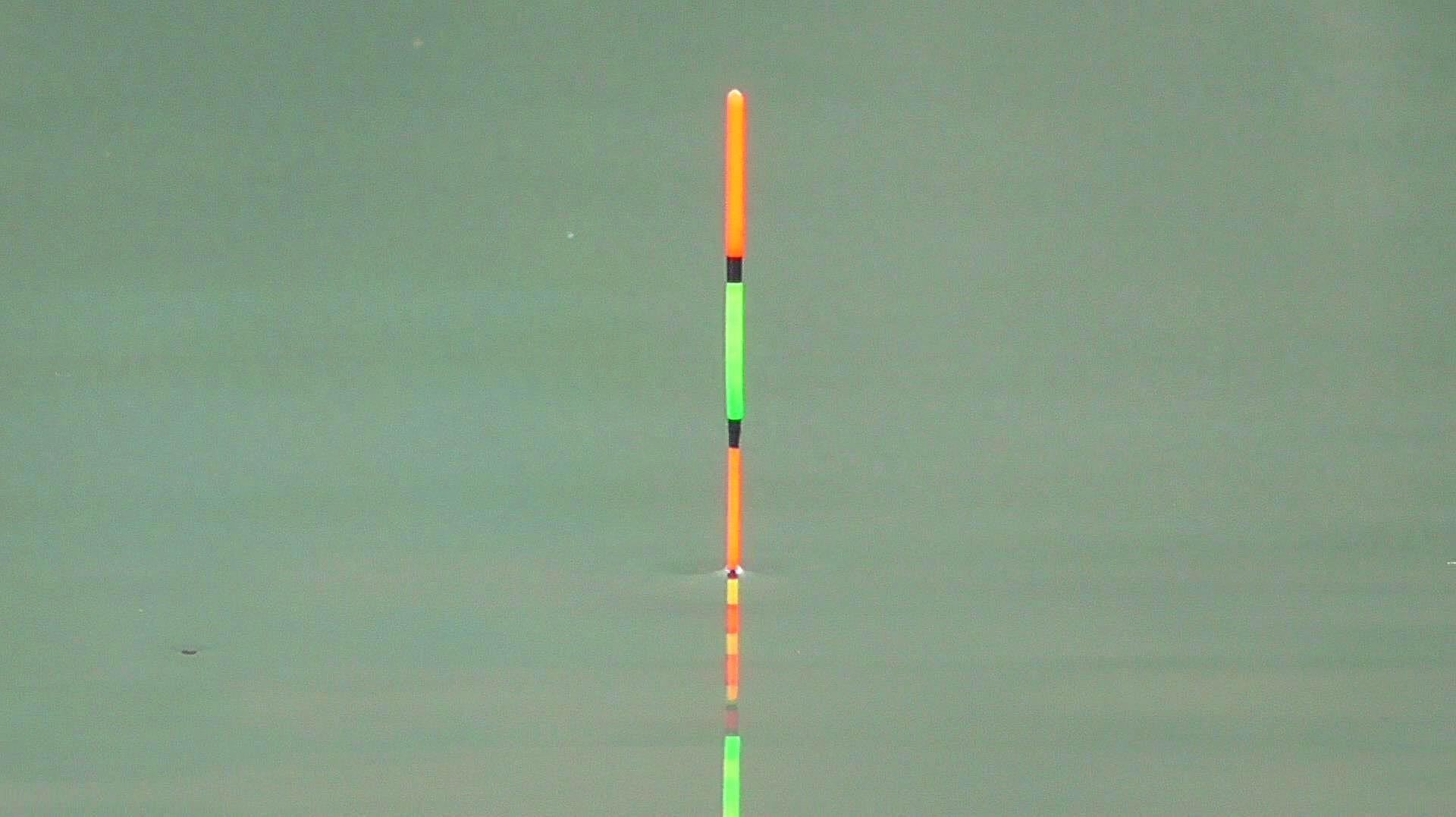 为什么我每次钓鱼设定的钓目都是三目？其中的原因分享给你