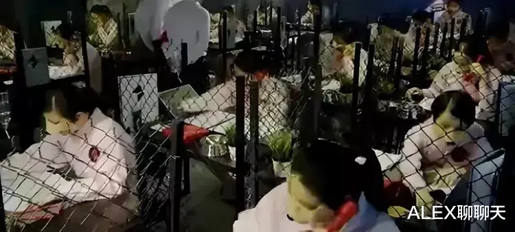 招聘|直击缅北训狗场，上万女性被困其中，把她们驯化成狗