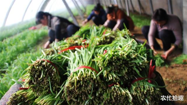 连涨半个月,一斤卖到7元,热度依然不减,网友:硬着头皮买的