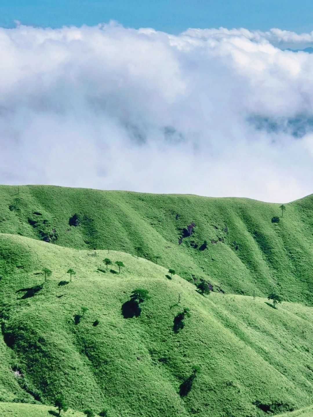 武功山|如果你想看这样的武功山，那我建议再等等