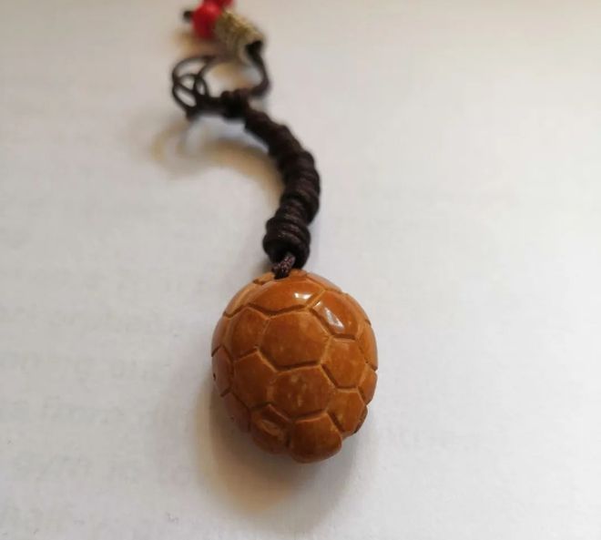 听说杏也可以做文玩