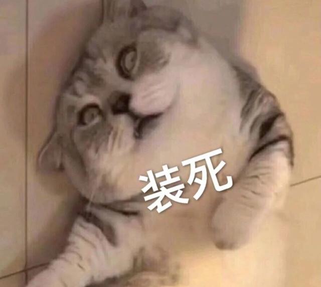 焉栩嘉|00影后和她的最强赘婿