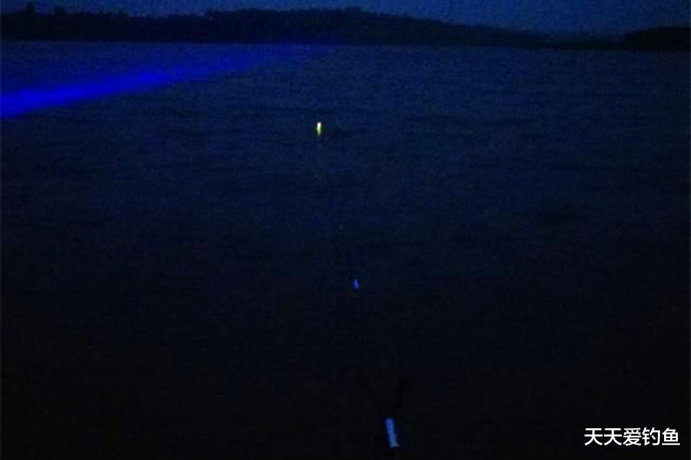 盛夏夜钓5大秘籍,常用这些套路,渔获是白天十倍