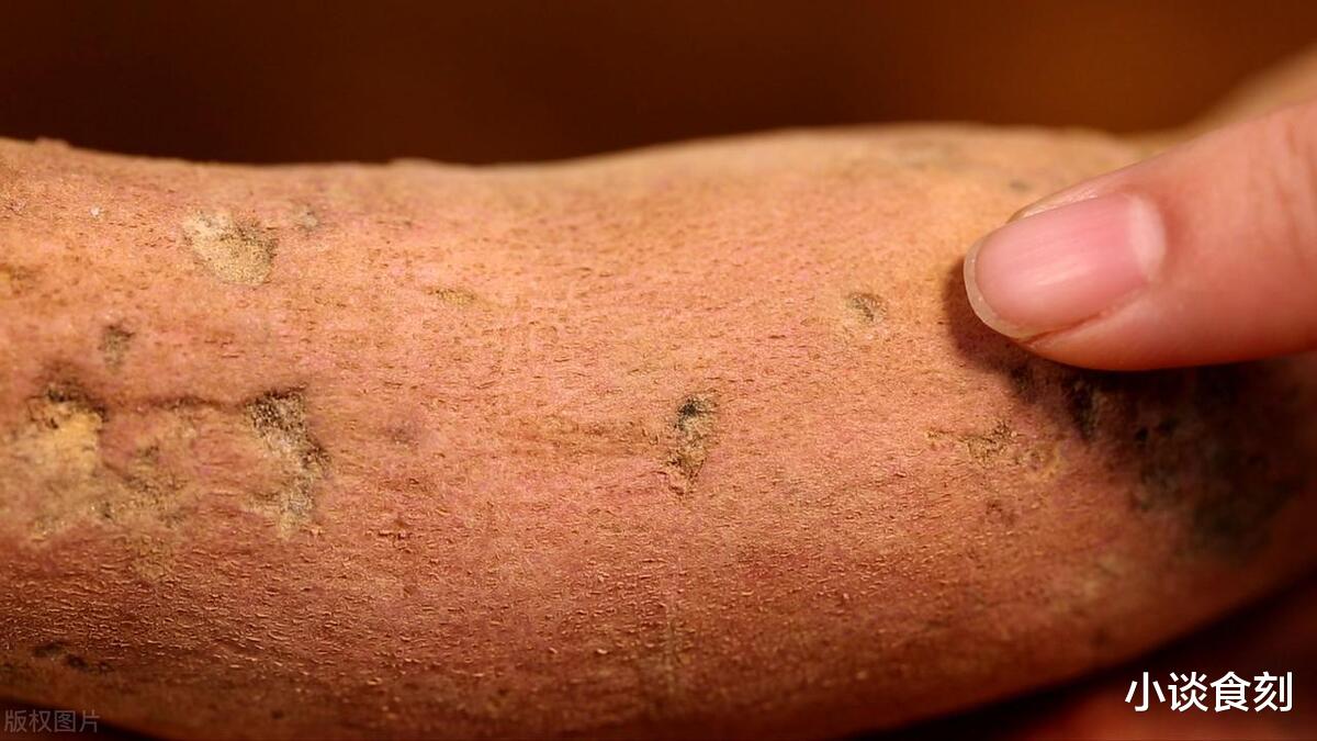 红薯|“红薯五不吃,吃了秋难安”,喜欢吃红薯的要留意,别不当回事