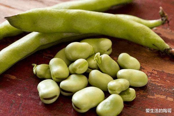 桑葚|4.20号谷雨，无论多忙，记得吃1肉，2果，3菜，应季而食身体棒