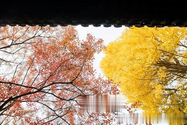 福建省|秋色最浓的11月，哪些地方最值得旅行？这三处旅行目的地各具特色