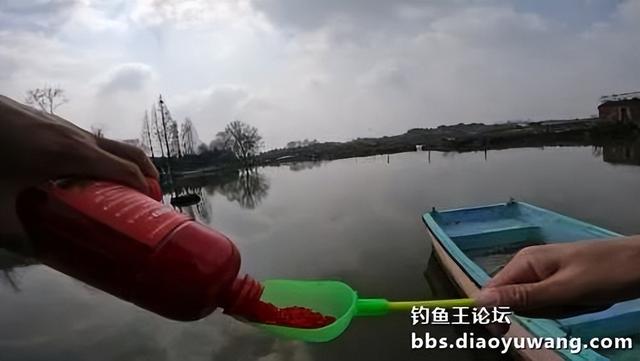 鲫鱼|今晚吃鱼酒米做窝,果然“不差鱼”