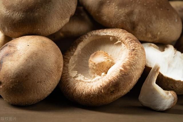 香菇|悲惨的香菇!养棚里的,是被打大的!长野外的,是被吓大的