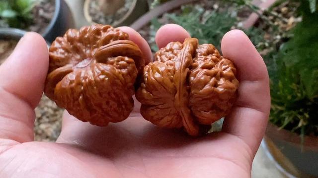 文玩核桃：盘玩与保养，让你爱不释手