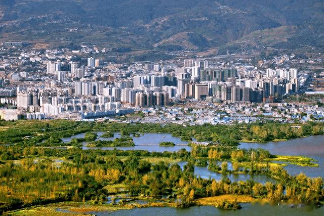 冰粉|中国人“吃到吐”的民间小吃，在国外成奢侈品，还起了个洋名字？