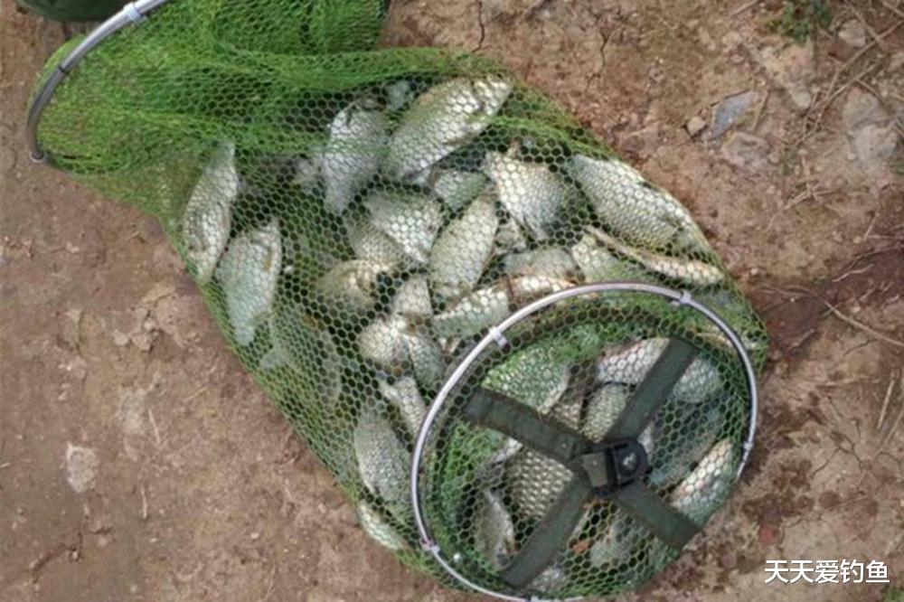 玻璃纤维|图解“正宗”调四钓二，不是调4目钓2目，都敢叫调四钓二