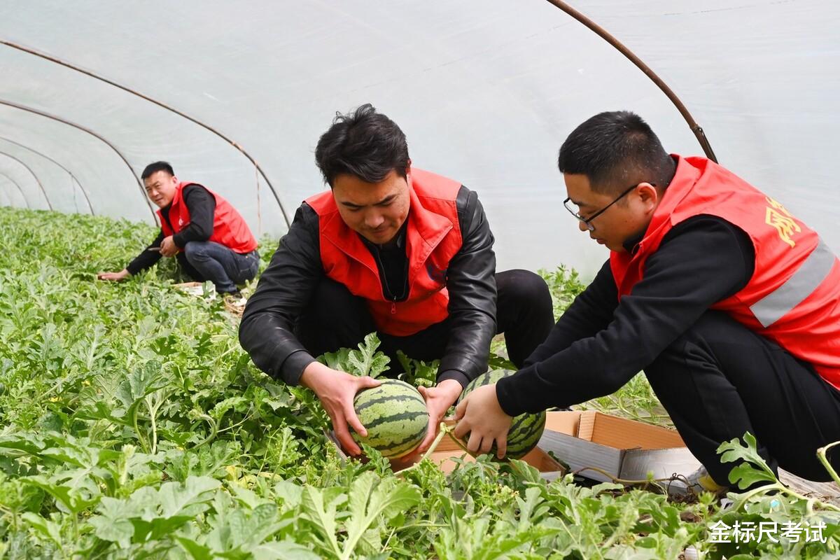 招聘|社区工招聘来了,五险一金是转正的标配!门槛有多高呢?