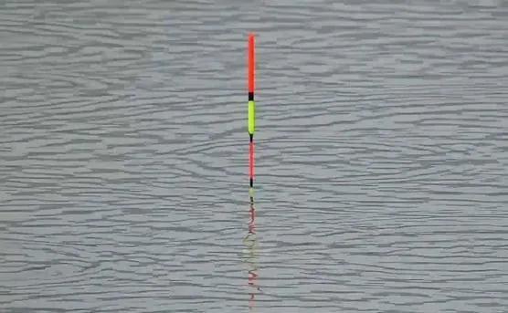 鳡鱼|蒙钓和逮口相结合,在大风大浪的野钓环境中作钓,会多上鱼。