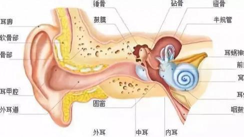 骨传导耳机会伤害耳朵吗，2023年实用性强的几款骨传导耳机推荐