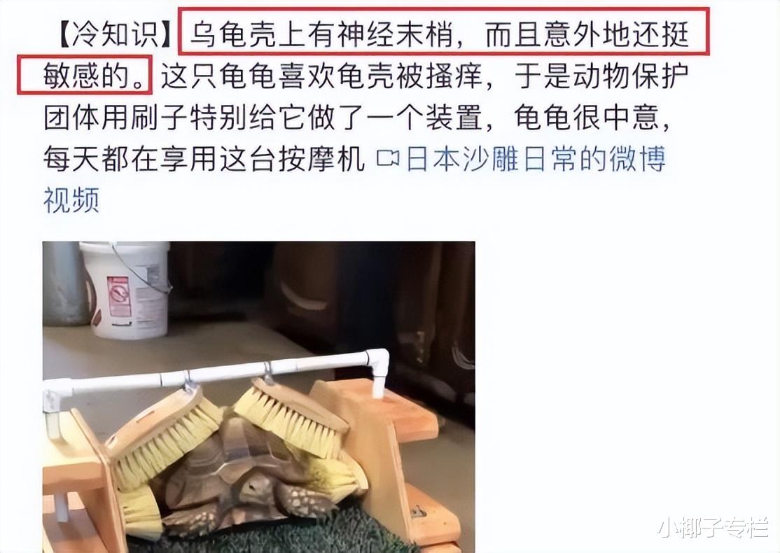 馒头|“一顿吃102个馒头，8捆线面”：又一网红，被困在新型流量密码里