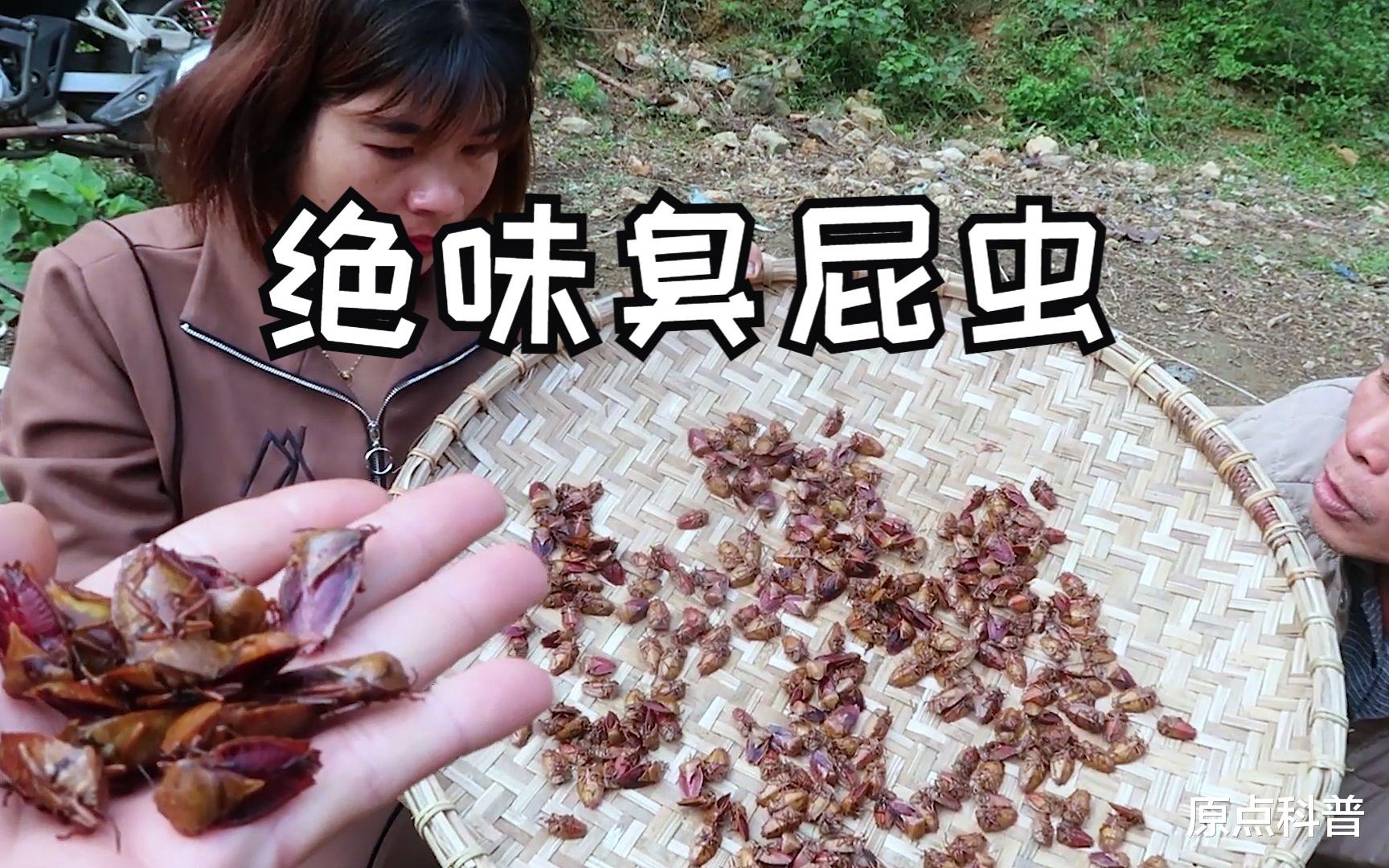 鲤鱼|盘点十大越南奇葩美食，玩得就是心跳，要的就是无可救药