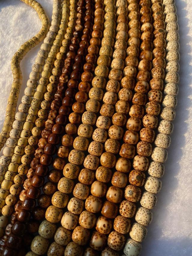 文玩|文玩圈9大“劝退官”,入手要谨慎,否则太容易弃坑了!