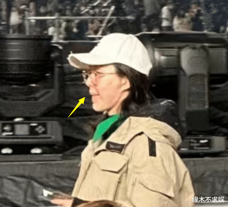 王石夫妇日本看演唱会,42岁田朴珺素颜皮肤差,王石如小跟班!