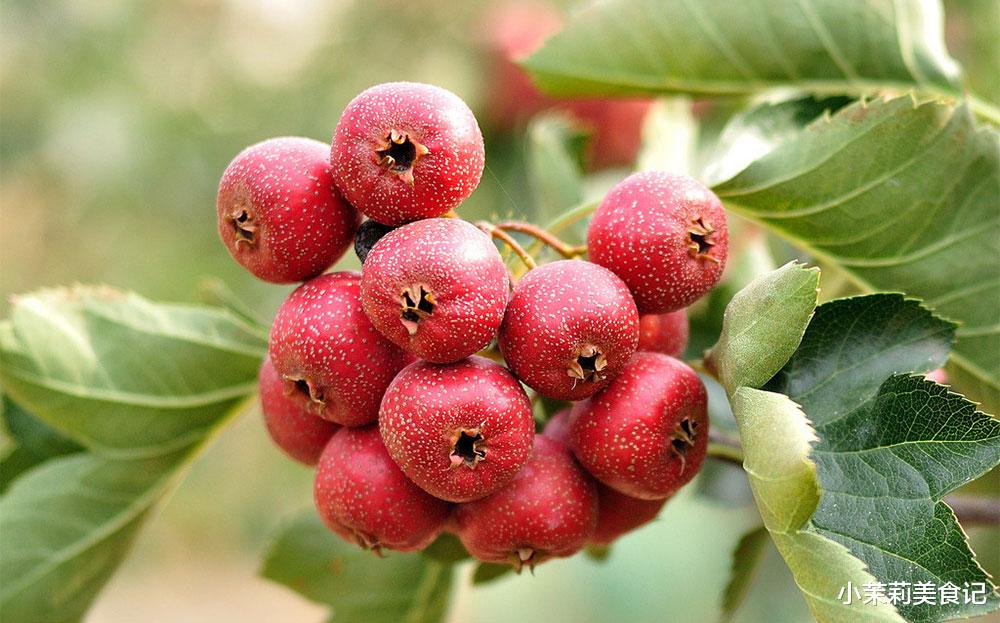 山楂|山楂大量上市,医生提醒:最好别与它们同吃,吃山楂的禁忌要牢记
