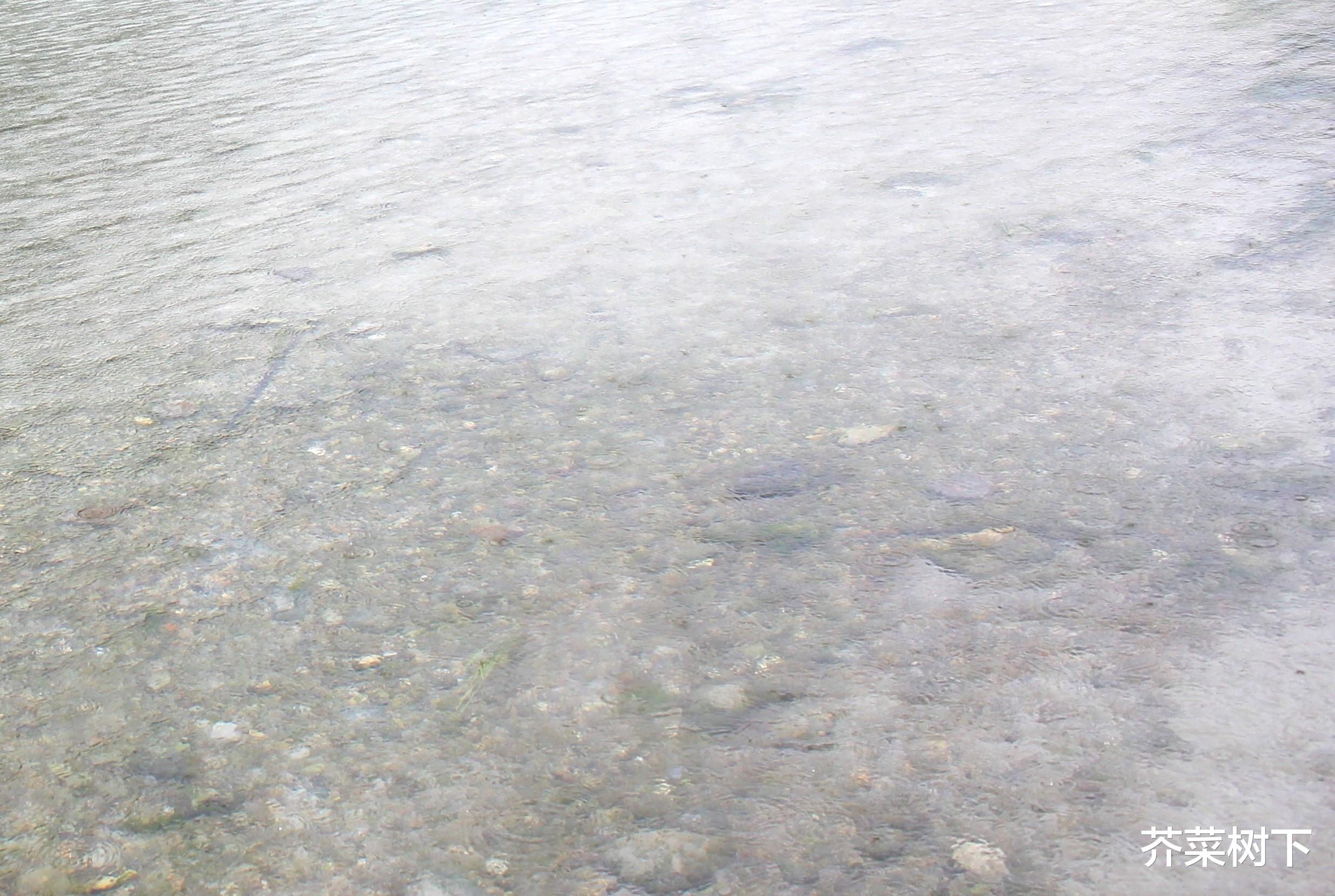 |职场之交,真淡如水