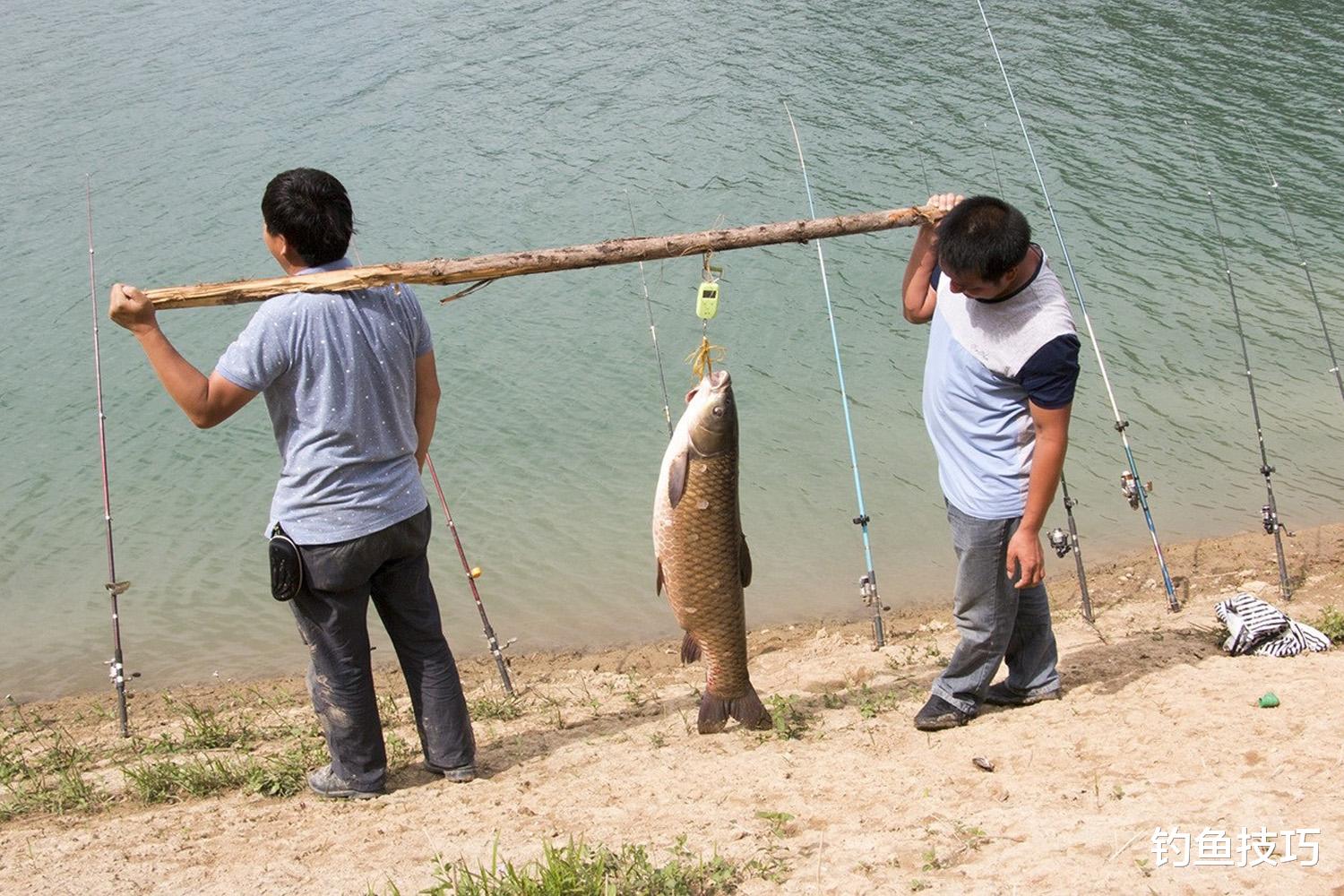 夜钓|在江河的流水中如何钓鱼?在流水中钓鱼的4个技巧