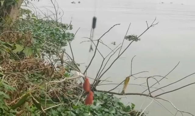 |铅坠躺底超短子线钓法和长子线主子线双铅有啥区别？那哪种更好？