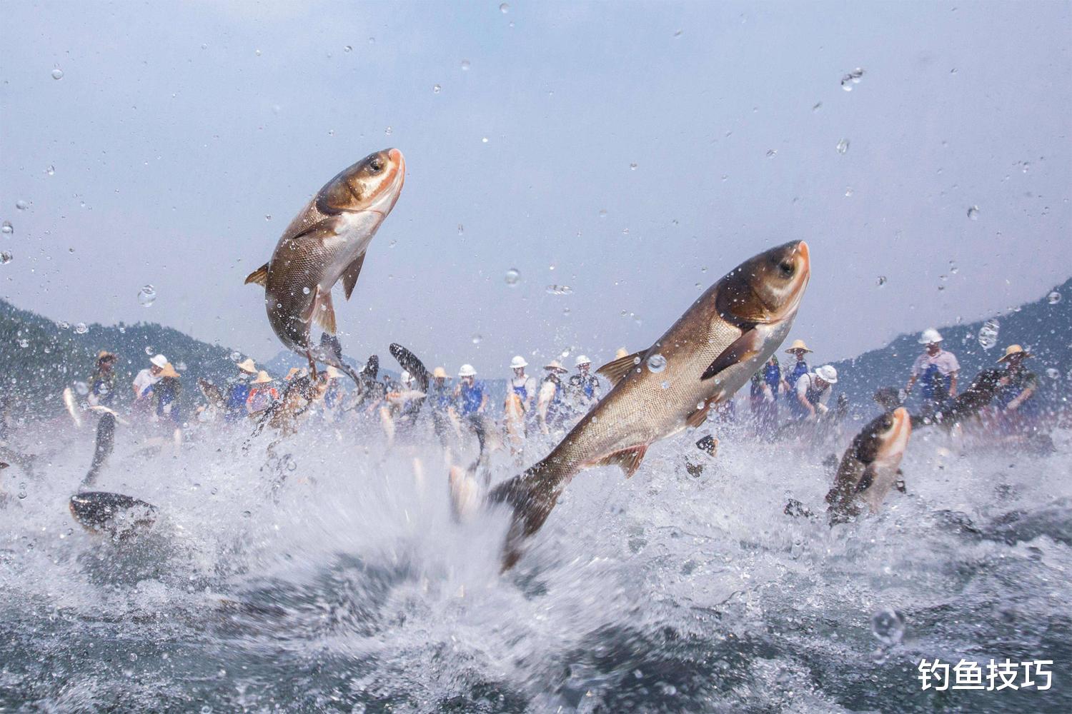 野钓找鱼的4个硬核知识,选钓位的依据