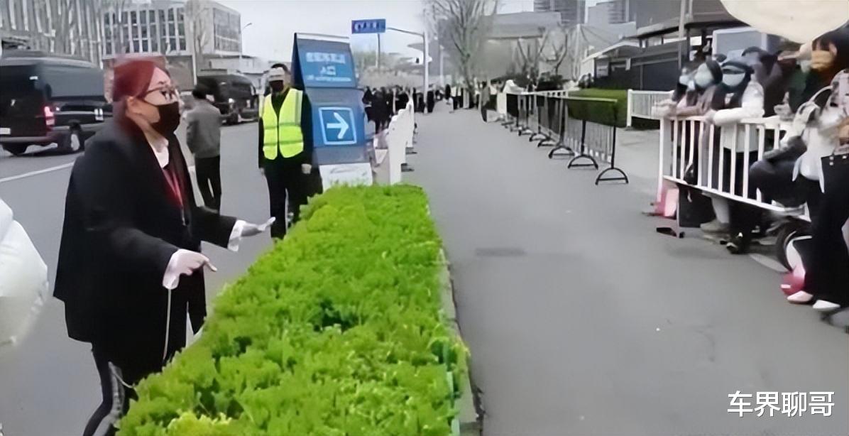 微博之夜|微博之夜过后,终于意识到内娱真的完了