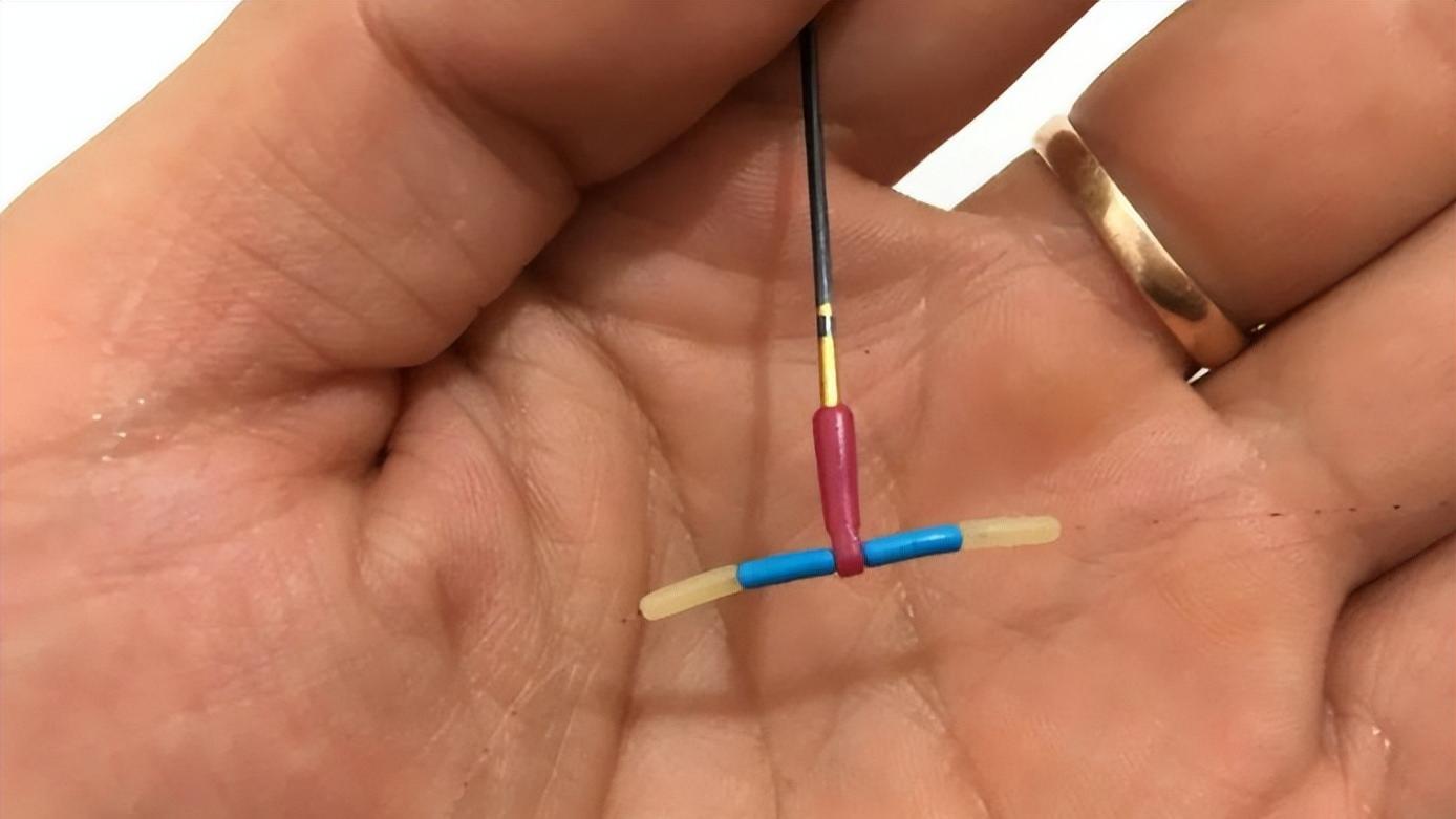 |主线除两头打结处易切外，还有一处容易切，多数钓友不知道