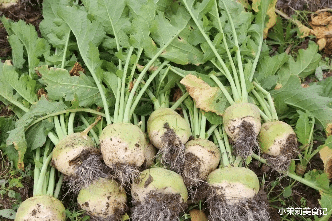 芥菜|腌芥菜，最忌切完直接腌，83岁奶奶教2招，嚼起来又脆又香没苦味