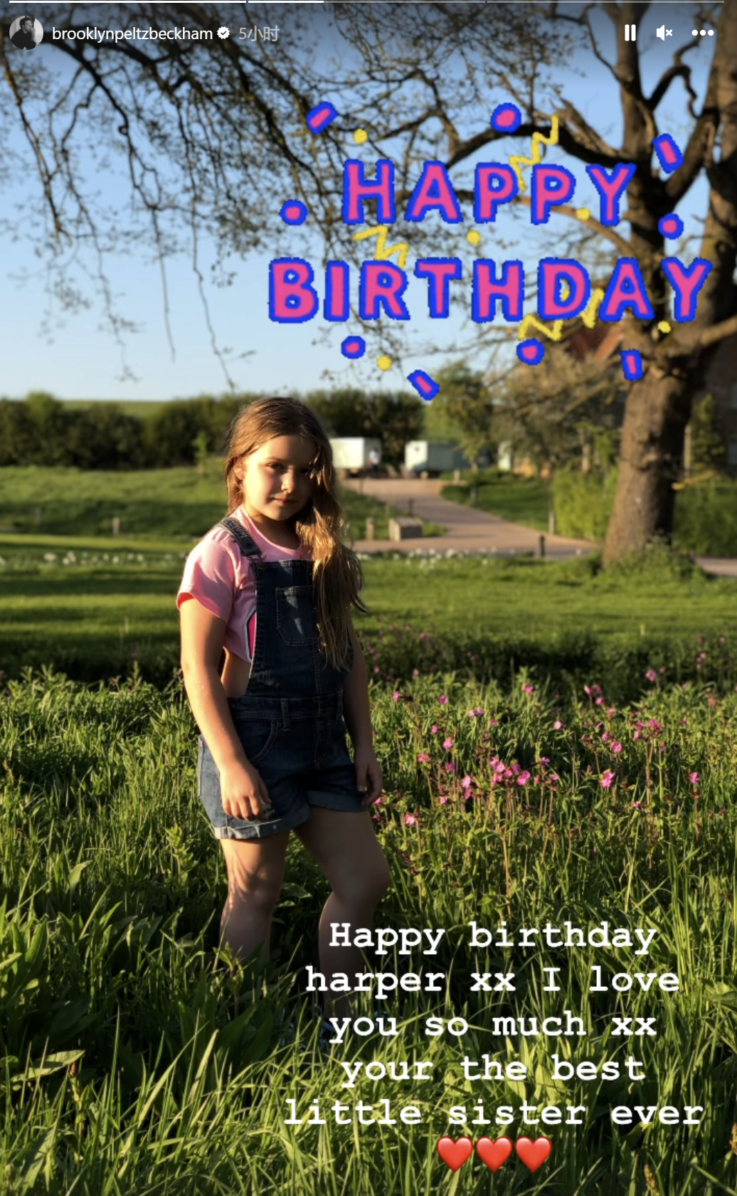 贝克汉姆全家为爱女庆12岁生日,小七又瘦又美,身高超过妈妈