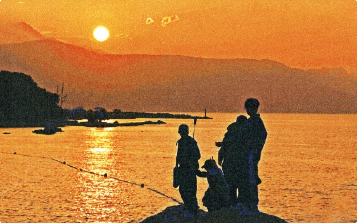 笑不活了,看了秦岚秦海璐的“虎狼之词”,我却笑死在网友评论区