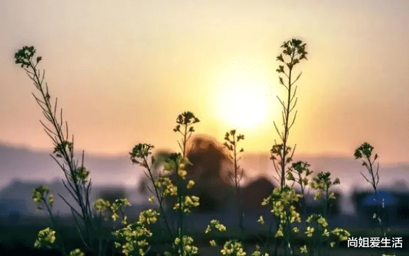 求职|老天在渡你,命里就会出现这几种提示,别傻傻的错过