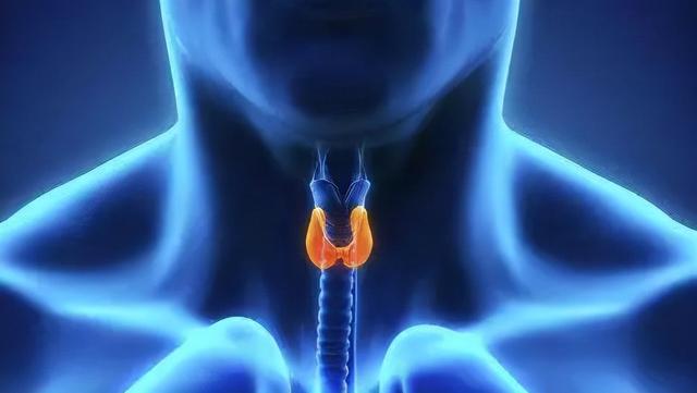 医生|你不知道的益生菌知识大放送（BLIS K12篇）