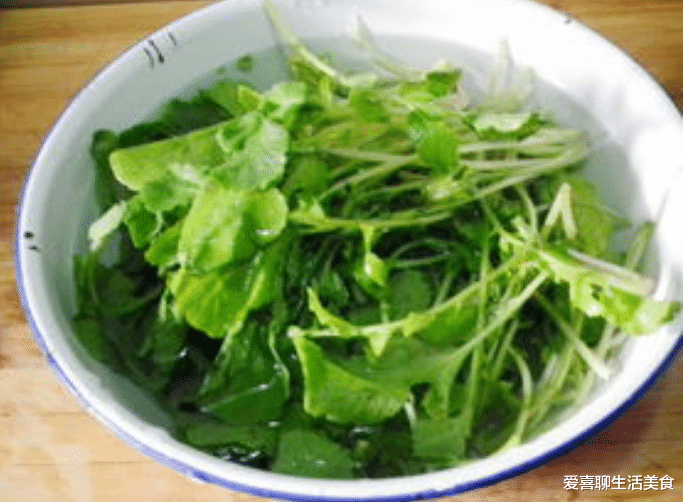 萝卜|入伏前后,遇见这菜别手软,比萝卜营养,比鸡毛菜脆嫩,老少皆宜,别不懂吃!