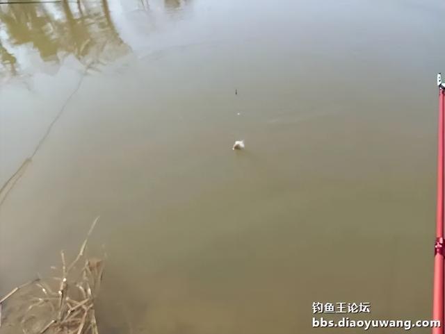 2024年带着地狱猫继续出发