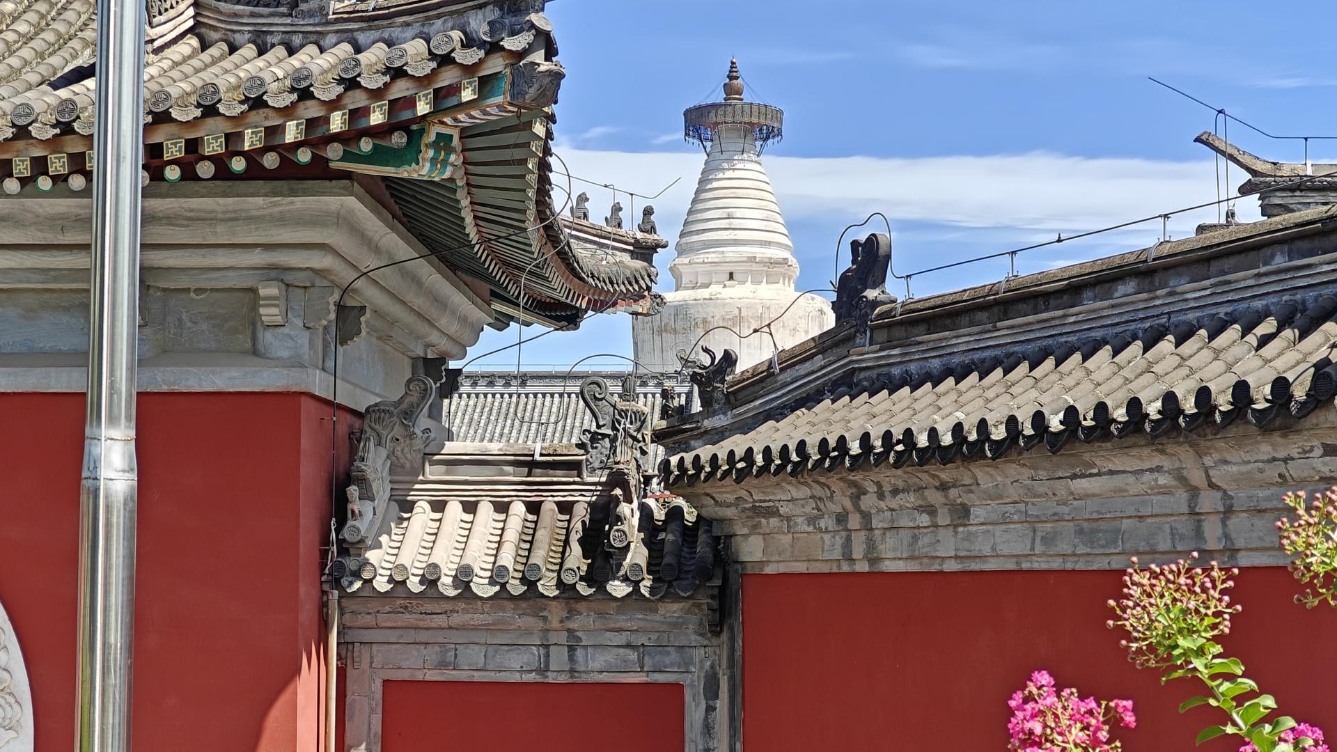 北京市|【行游人间】  老北京的一幅绝美风景画——妙应白塔寺
