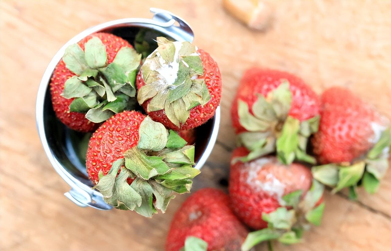 肝不好,转氨酶居高不下?中医一个小方子,护肝周全