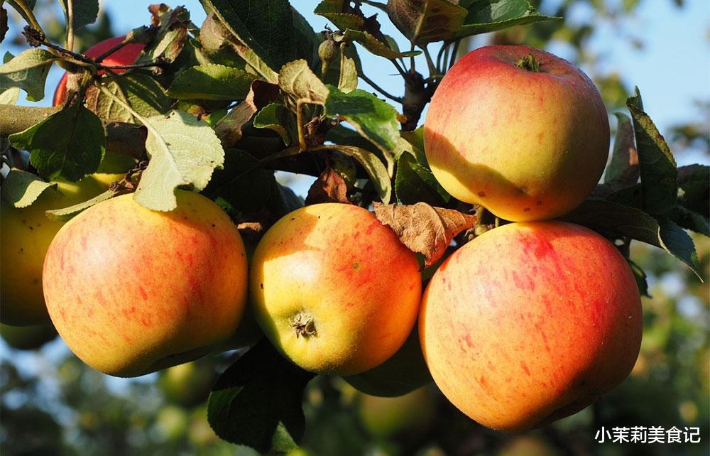 苹果|苹果也有“死对头”,医生提醒:二者万不可同吃,很多人还不懂