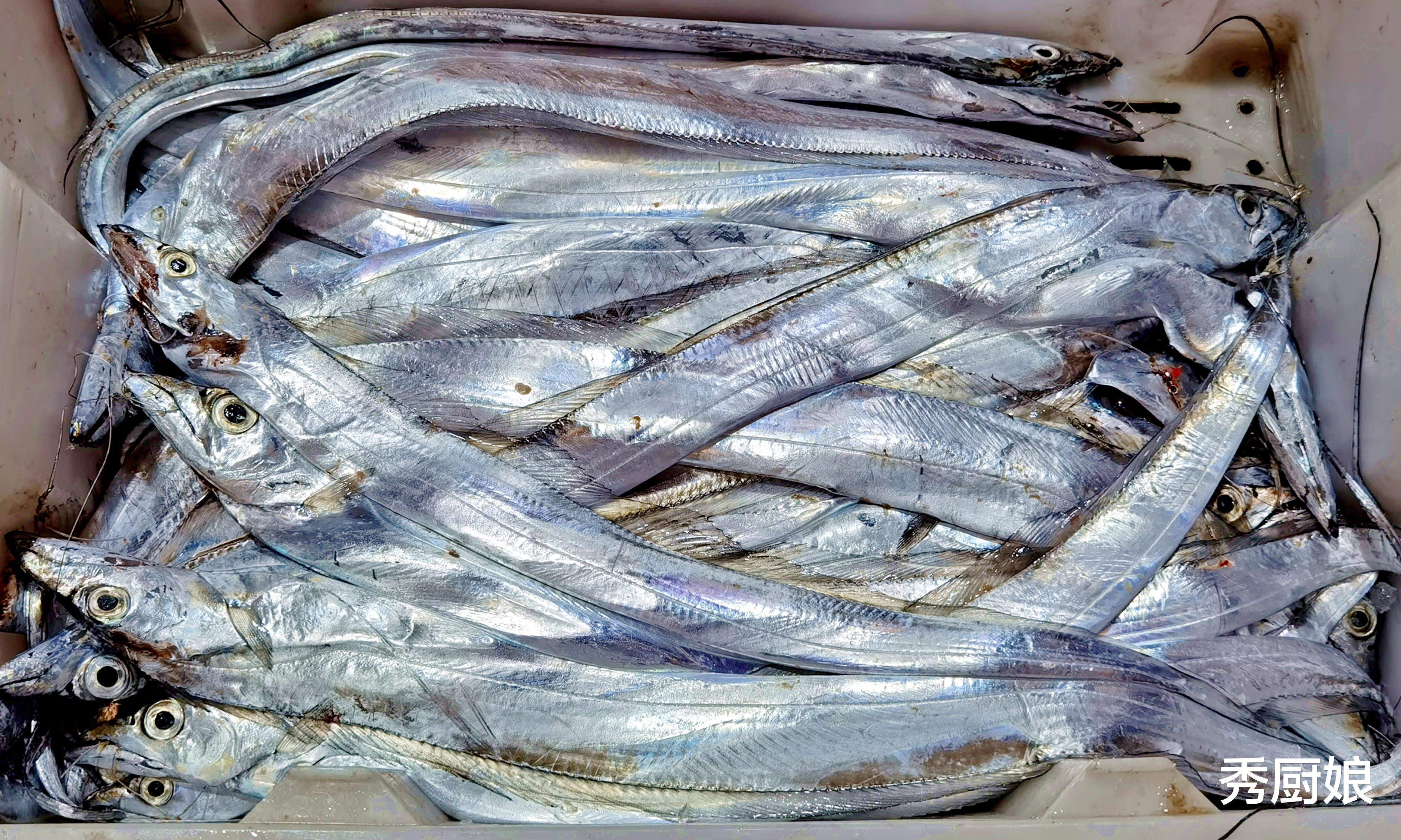 带鱼|买带鱼，分清“黑眼睛”和“黄眼睛”，区别不小，弄懂再买不吃亏