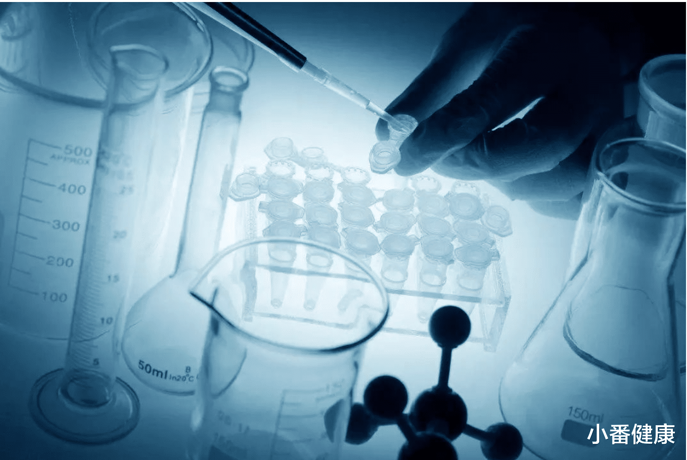 乙肝|乙肝制药前沿,组合探索机制互补,不同新候选者前景如何?