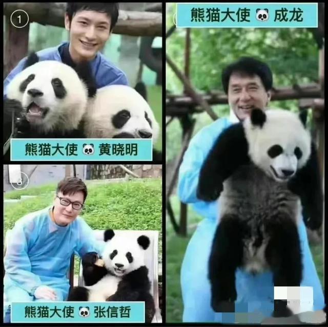 爱心|成龙等多位“熊猫爱心大使”保持沉默,黄晓明等人呼吁丫丫回家