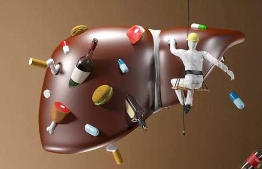 肝不好，身体先知道？若没有这5种表现，恭喜你“肝无忧”