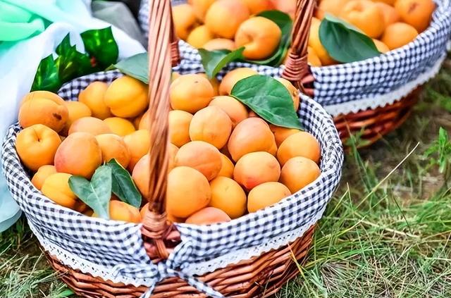 甲状腺结节|黄杏是甲状腺结节的“发物”？医生：保护甲状腺，建议少碰3黄