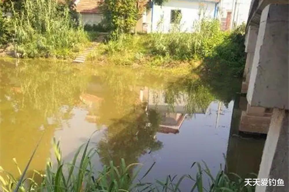 夏至过后野钓，气温越高，越要找这些地方