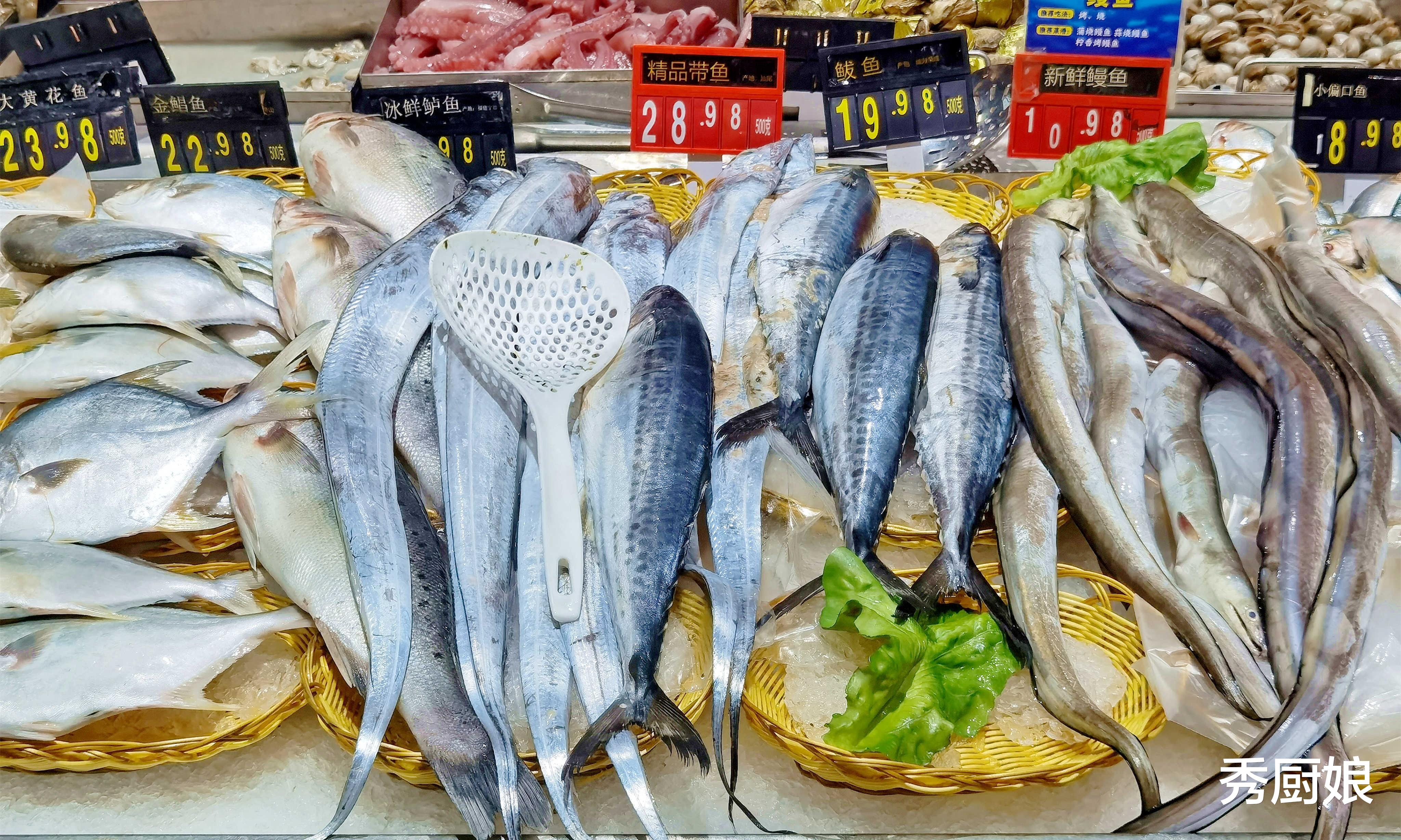 鲅鱼|过年买鱼，懂行的人专挑这5种鱼，便宜又好吃，鱼贩都夸你是行家