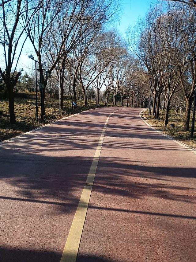 钓鱼|天气晴朗心情喜悦，河畔垂纶鲫妹连杆