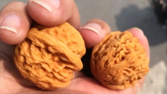 核桃|文玩界的“核桃黄”,到底哪种黄才算好的?